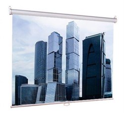 Экран LUMIEN Eco Picture 150х150см, настенный, Matte White (LEP-100101) 120014 - фото 10206