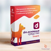 DM.Основные средства: DM.Invent 2894